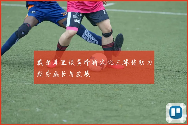 戴尔库里谈黄蜂新文化三球将助力新秀成长与发展