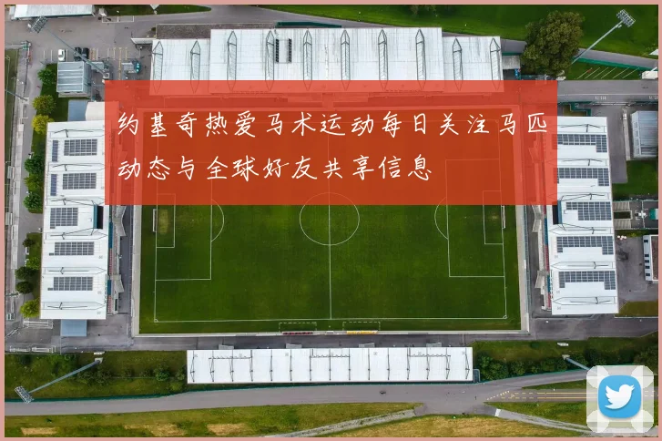 约基奇热爱马术运动每日关注马匹动态与全球好友共享信息