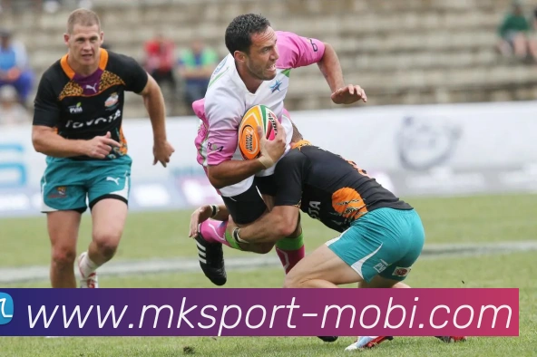 多媒体互动体验