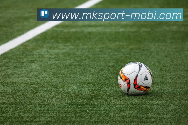 MK体育APP 高清赛事图