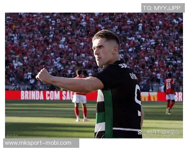 约克雷斯明年将回瑞典出庭作证阿森纳拒绝放人引发关注 约克雷斯明年将回瑞典出庭作证阿森纳拒绝放人引发关注